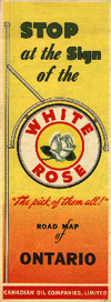WhiteRose1950